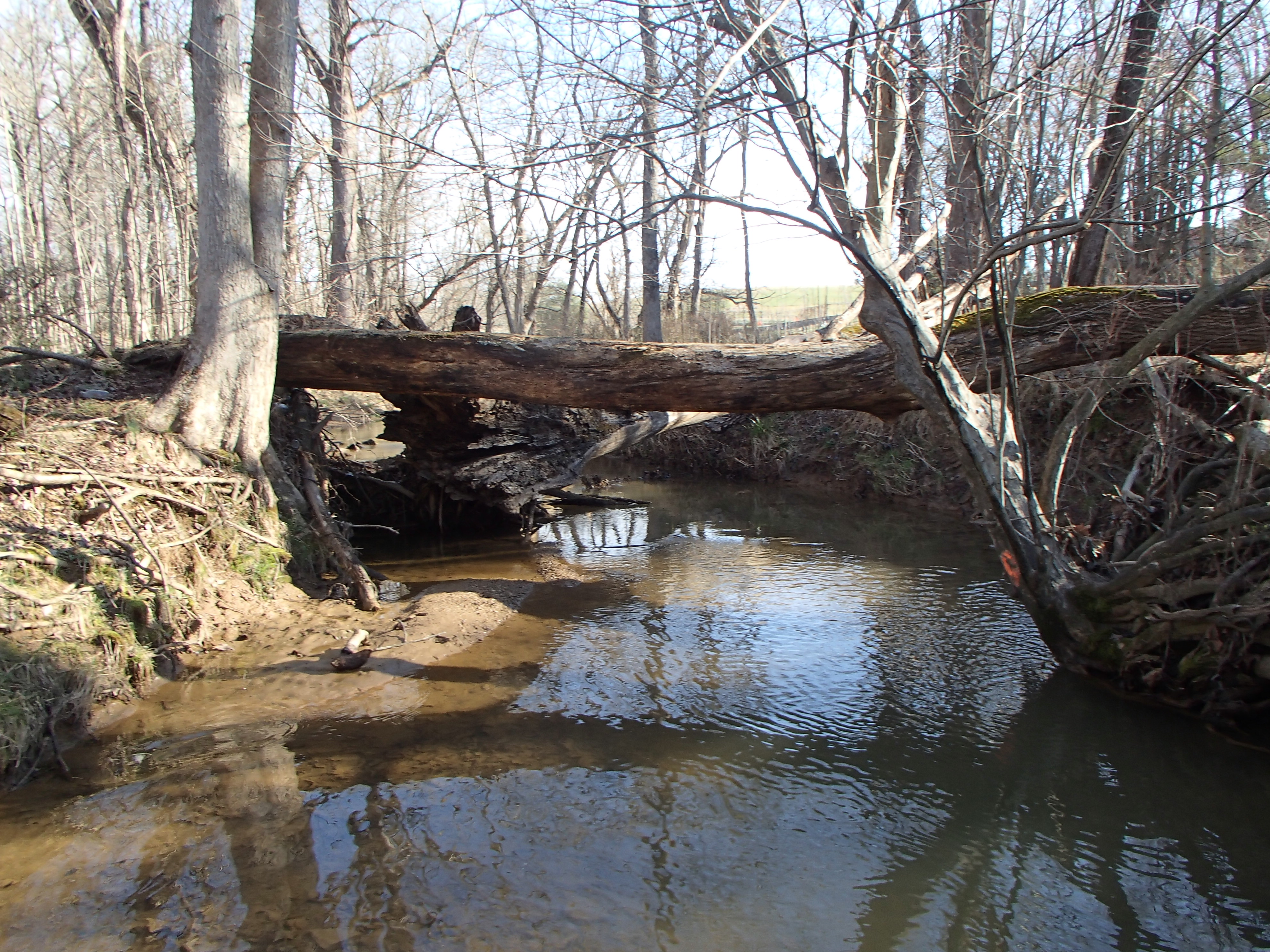Field photo showing stream conditions at site PRMO-201-X-2016_Midpoint facing upstream
